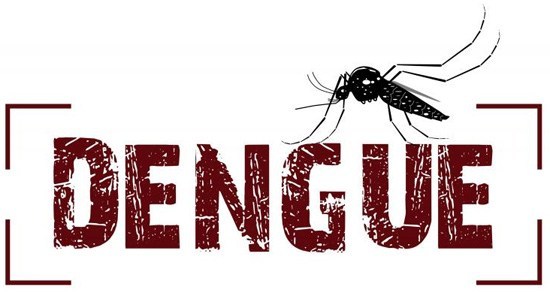 Campo Mourão registra mais de mil casos de dengue