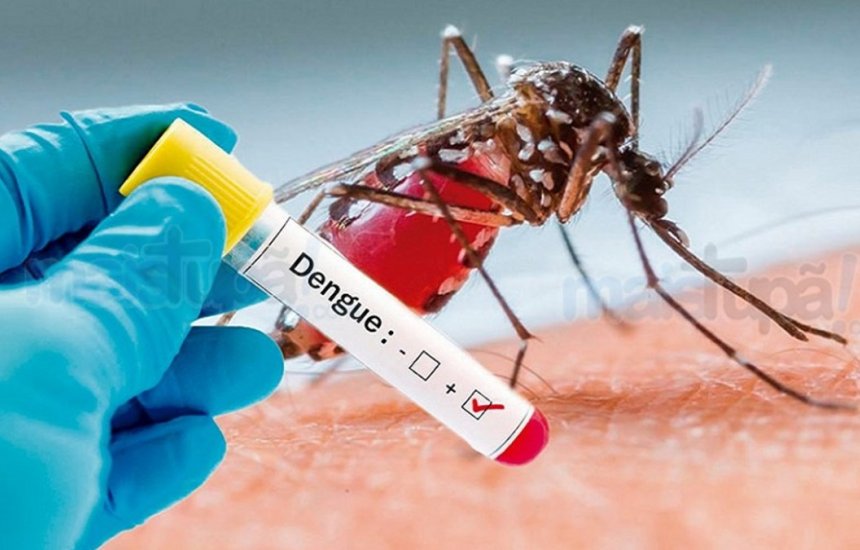 07 cidades do Paraná estão com epidemias de dengue.