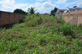 Secretário de fiscalização de C.Mourão pede que moradores limpem seus terrenos para evitar multas