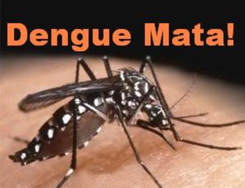 Epidemia de dengue na cidade de Nova Cantu e Quinta do Sol