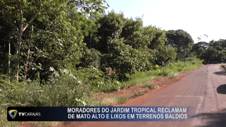 Moradores do jardim Tropical reclamam de mato alto e lixos em terrenos baldios