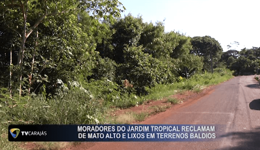 Moradores do jardim Tropical reclamam de mato alto e lixos em terrenos baldios