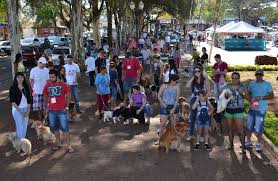 PAIS realiza feirinha para adoção de cães e gatos na praça São José
