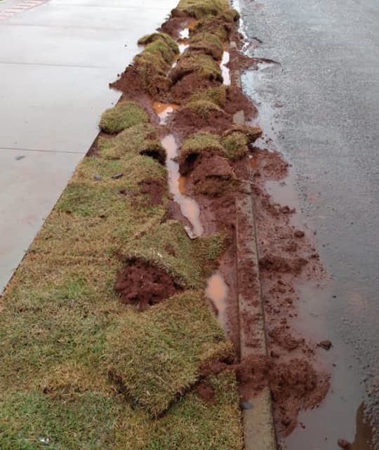 Motorista desatento estraga gramado recém plantado na ciclovia da Avenida Pedro Viriato