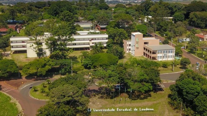 Universidades paranaenses estão entre as melhores do país