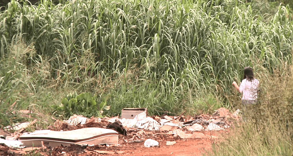 Descarte irregular de lixos de todas as naturezas são denunciados ao Ministério Público