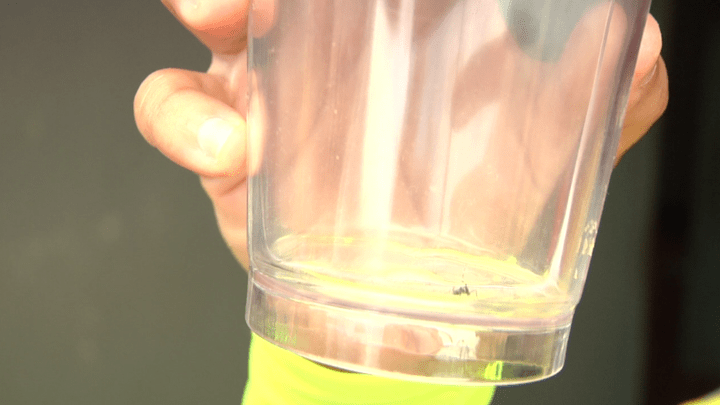 Fiscalização começa a multar morador que tiver foco de dengue em casa ou empresa