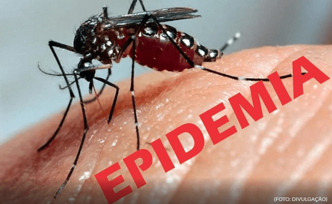 Passa de 300 casos de dengue em Campo Mourão e doença vira epidemia