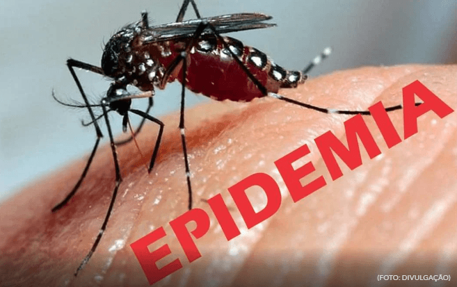 Passa de 300 casos de dengue em Campo Mourão e doença vira epidemia