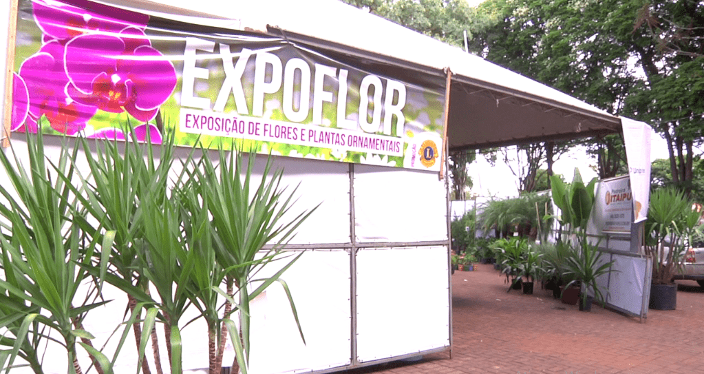 Expoflor na praça São José vai até o dia 15 de março