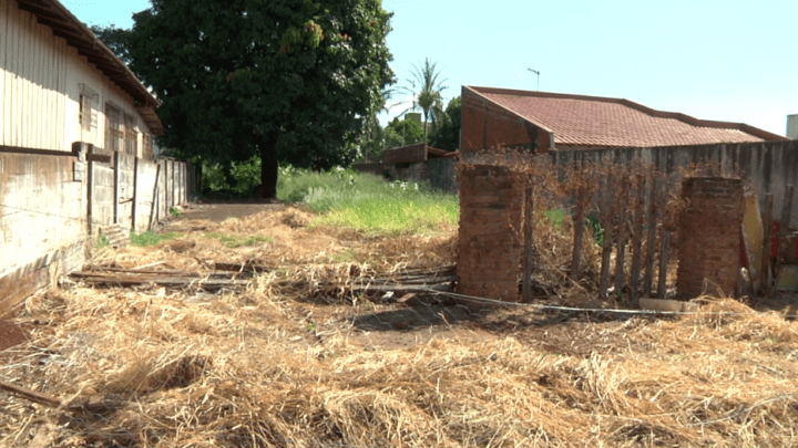 Proprietários de terrenos sujos estão notificados e multados em Campo Mourão