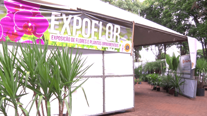 Expoflor na praça São José vai até o dia 15 de março