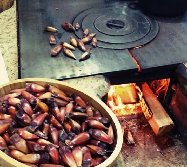 Venda de pinhão aumenta com o frio