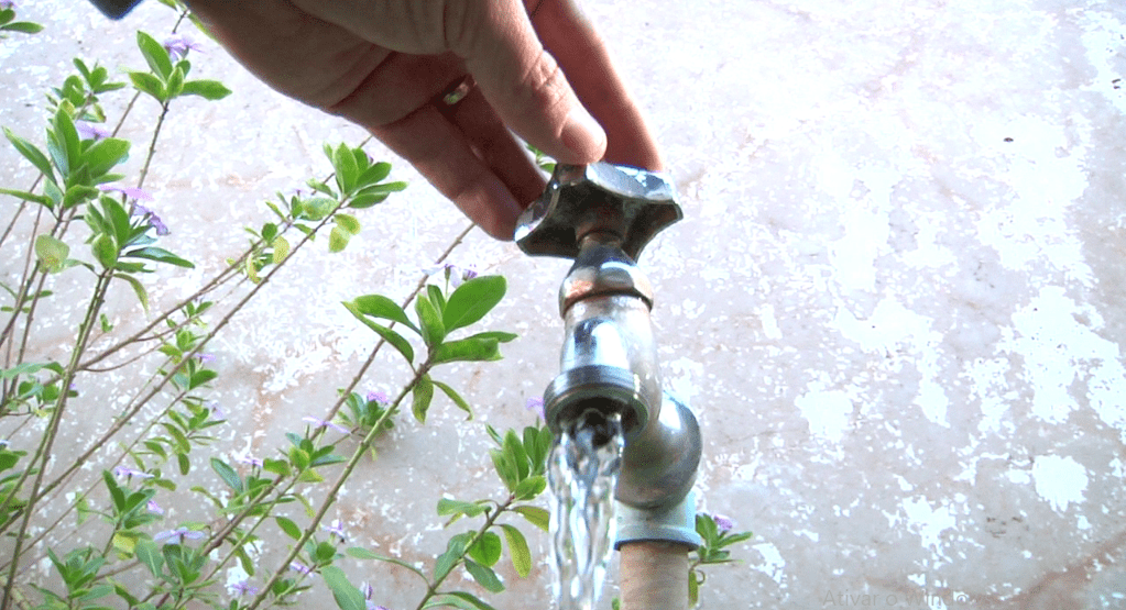 Professora do curso de engenharia ambiental da UTFPR comenta sobre a importância de economizar água