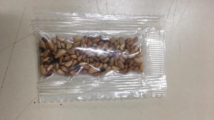 ADAPAR faz alerta sobre recebimento de sementes vindas da China