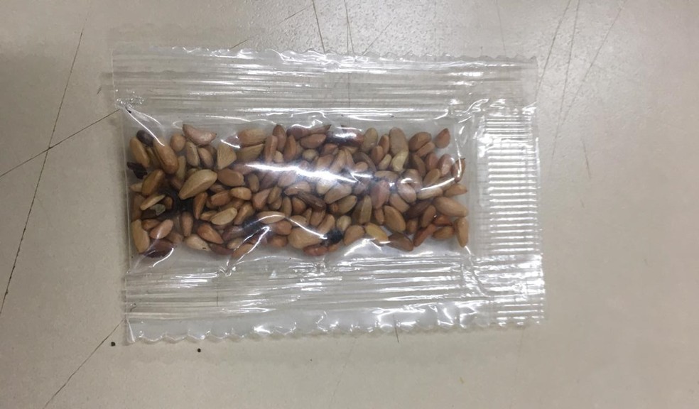 ADAPAR faz alerta sobre recebimento de sementes vindas da China