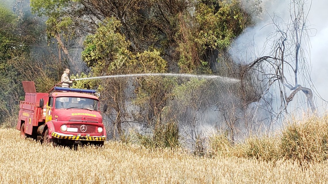 Queimadas avançam em Campo Mourão e preocupam bombeiros e agricultores