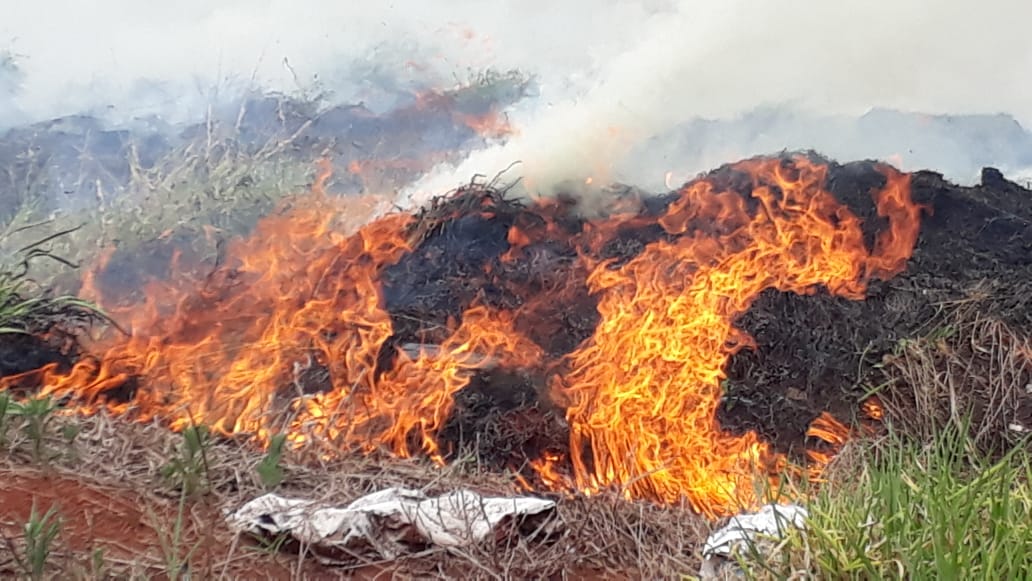 Homem é encaminhado a delegacia de C.Mourão após colocar fogo em fios de cobre e atingir vegetação