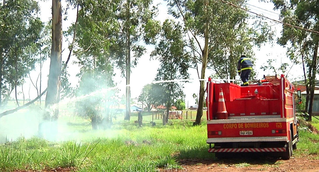 Incêndio Ambiental no jardim Paulino em Campo Mourão mobiliza equipes do Corpo de Bombeiros