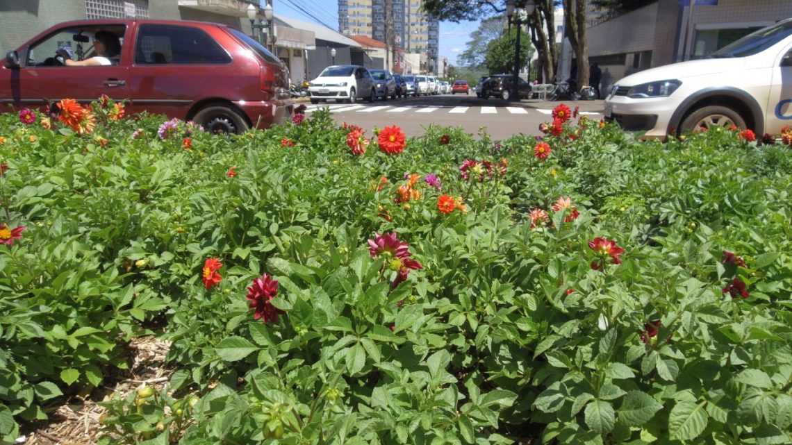 Secretaria da Agricultura e Meio Ambiente orienta população para boas práticas por meio das redes sociais