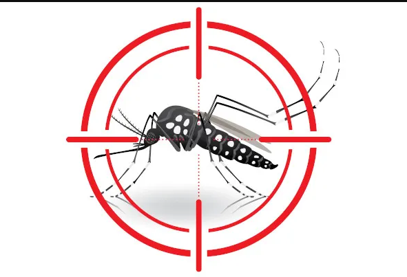 Levantamento aponta infestação do mosquito da dengue em Campo Mourão
