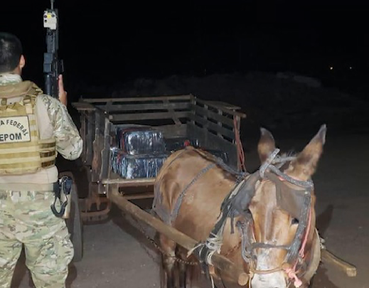 Carroça com 300 quilos de maconha é apreendida junto com burro de carga, no Paraná