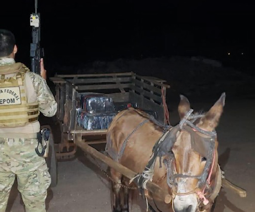 Carroça com 300 quilos de maconha é apreendida junto com burro de carga, no Paraná