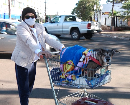 Mulher transporta cachorro em carrinho de mercado em busca de tratamento