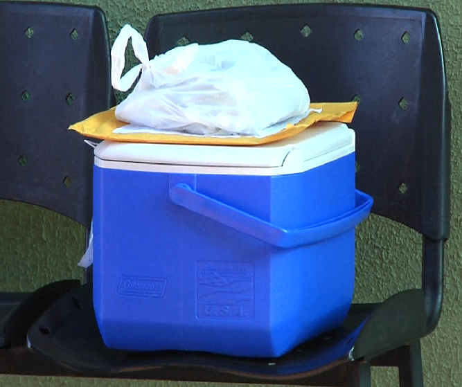 29ª remessa de vacina contra COVID-19 já foram entregues