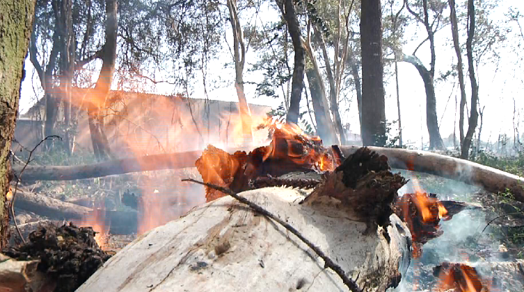 Incêndio de grandes proporções assusta morados na Vila Rio Grande