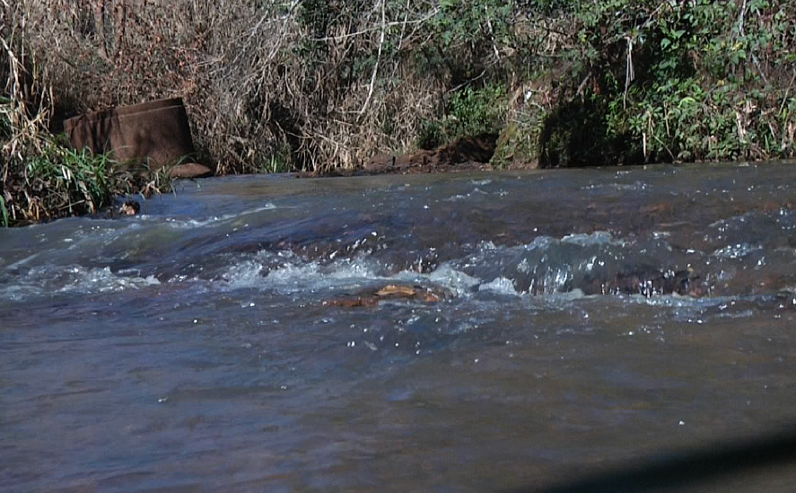 Dia da pesca vira lei em Campo Mourão