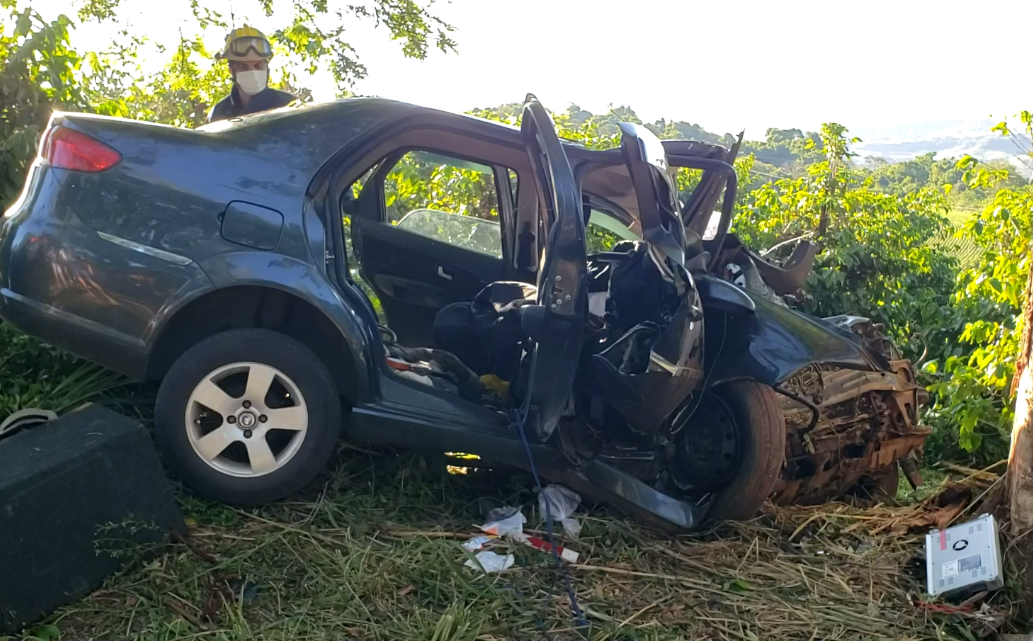 Motorista morre ao bater carro contra árvore na PR-549