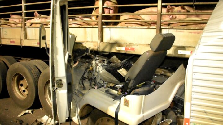 Motorista de caminhão morre ao bater na traseira de carreta na BR- 158