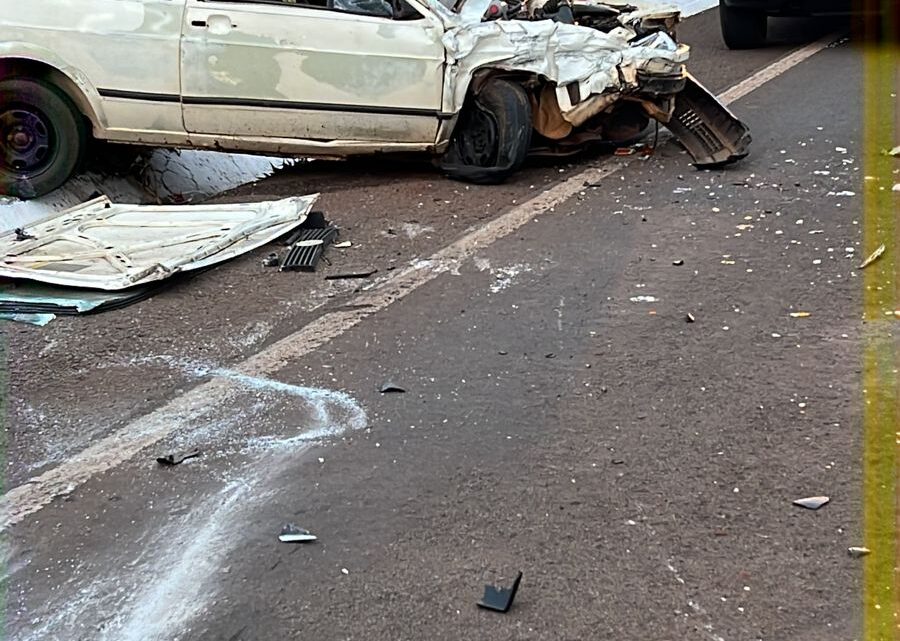 Vereador faz requerimento pedindo mais sinalização na BR- 487