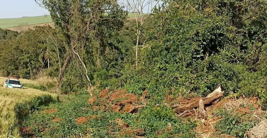 Polícia Ambiental embarga área por danificação de vegetação nativa