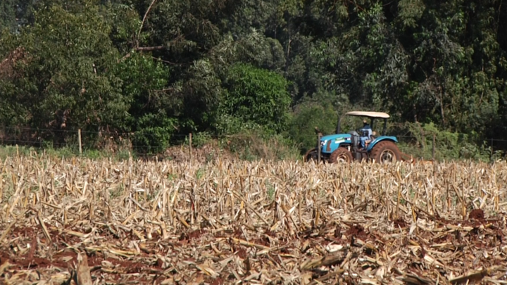 Prazo para declarar imposto territorial rural vai até dia 30 de setembro