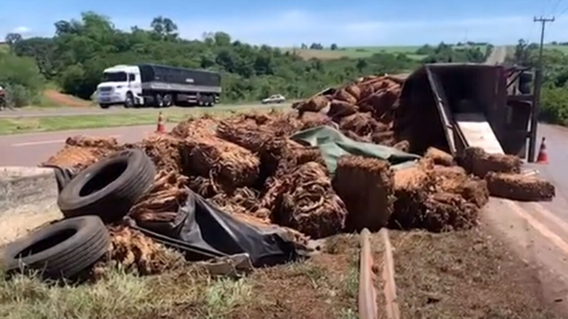 CARRETA CARREGADA COM FUMO TOMBA NA SAÍDA DO ANEL VIÁRIO EM CAMPO MOURÃO