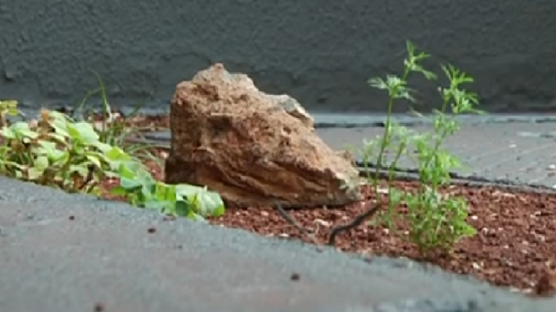 FILHO AGRIDE PAI COM UMA PEDRA EM MAMBORE