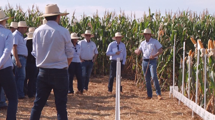 COAMO REALIZA ENCONTRO DE INVERNO EM CAMPO MOURÃO