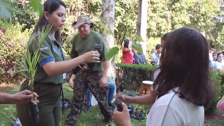 UM DIA NO PARQUE É A ATRAÇÃO DO FIM DE SEMANA EM CAMPO MOURÃO