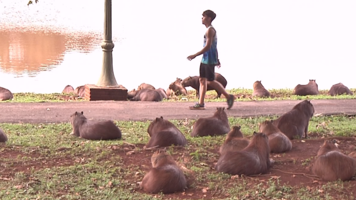 MINISTÉRIO PÚBLICO DETERMINA FECHAMENTO PARCIAL DO PARQUE DO LAGO