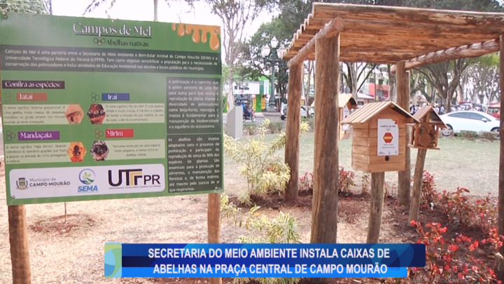 SECRETARIA DO MEIO AMBIENTE INSTALA CAIXAS DE ABELHAS NA PRAÇA CENTRAL DE CAMPO MOURÃO