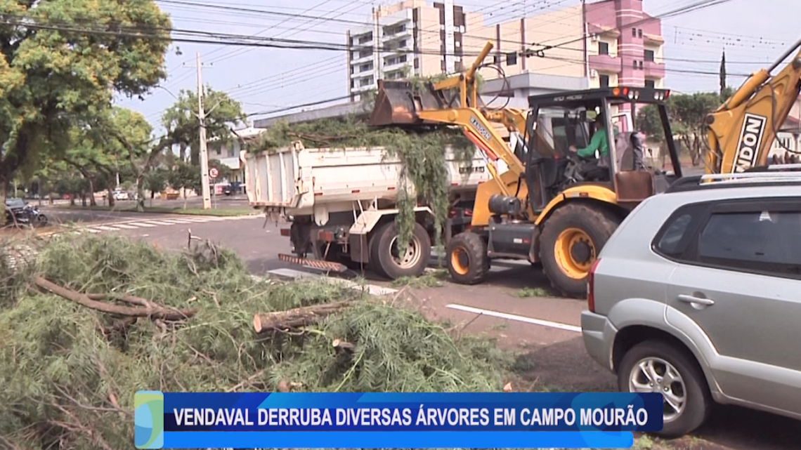 VENDAVAL DERRUBA DIVERSAS ÁRVORES EM CAMPO MOURÃO