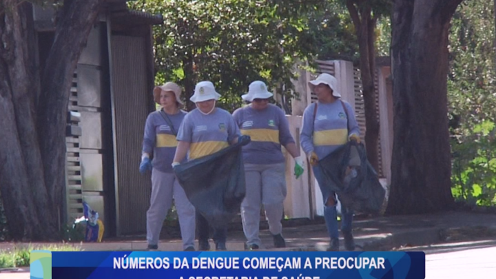 NÚMEROS DA DENGUE COMEÇAM A PREOCUPAR A SECRETARIA DE SAÚDE