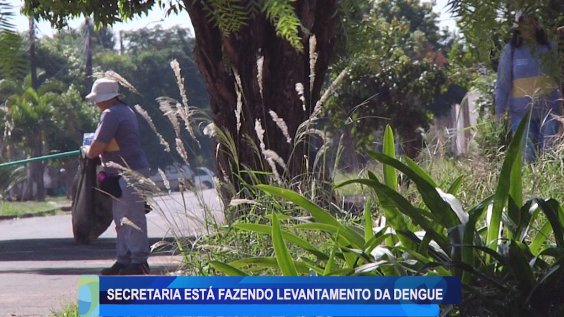 SECRETARIA ESTA FAZENDO LEVANTAMENTO DA DENGUE