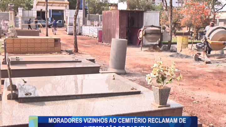 MORADORES VIZINHOS AO CEMITÉRIO RECLAMAM DE INFESTAÇÃO DE BARATAS