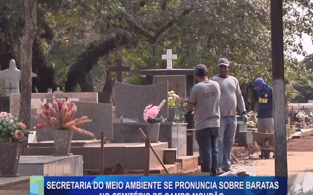 SECRETARIA DO MEIO AMBIENTE SE PRONUNCIA SOBRE BARATAS NO CEMITÉRIO DE CAMPO MOURÃO