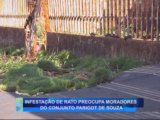 INFESTAÇÃO DE RATO PREOCUPA MORADORES DO CONJUNTO PARIGOT DE SOUZA