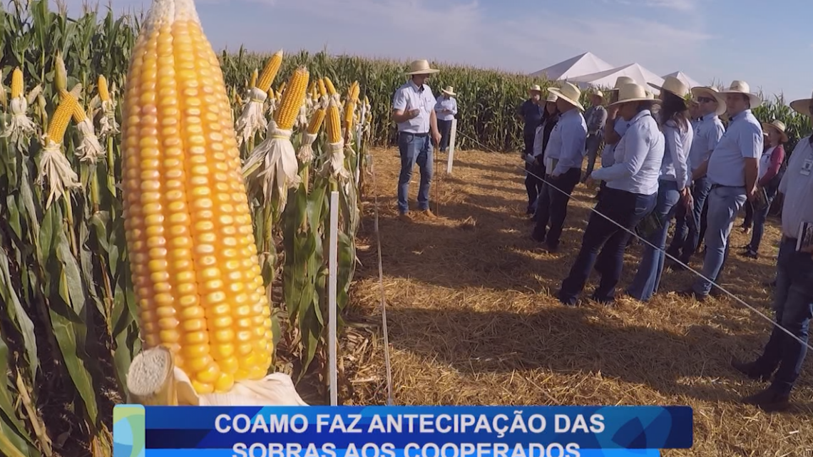 COAMO FAZ ANTECIPAÇÃO DAS SOBRAS AOS COOPERADOS