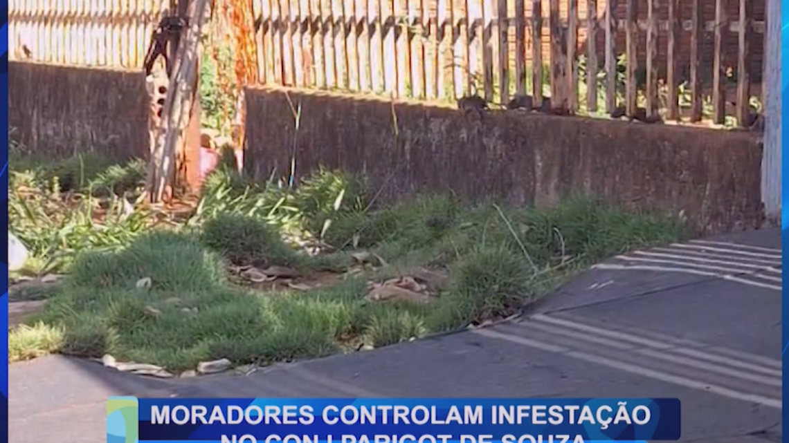 MORADORES CONTROLAM ESTAÇÃO DE RATOS NO CONJ. PARIGOT DE SOUZA